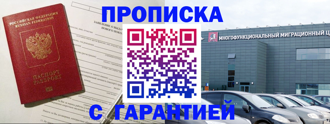 прописка поиск в Невеле